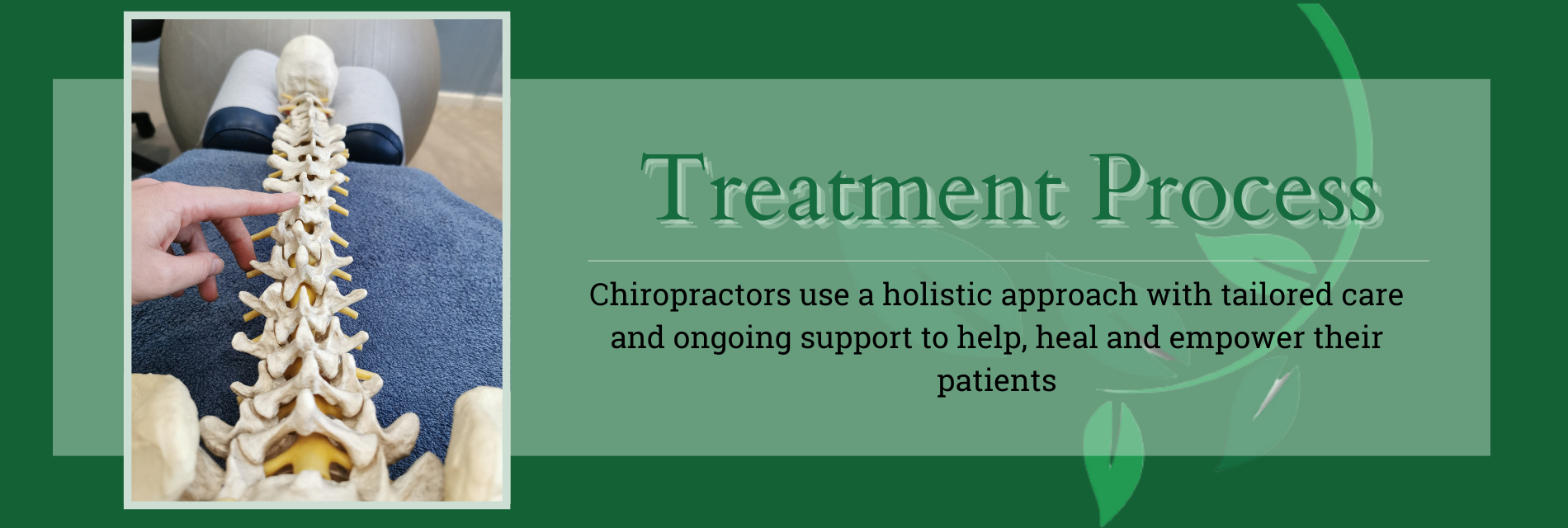 SpineWorks - Treatment Process Header