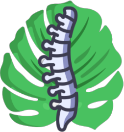 SpineWorks Icon - a spine surrounded by a monstera leaf
