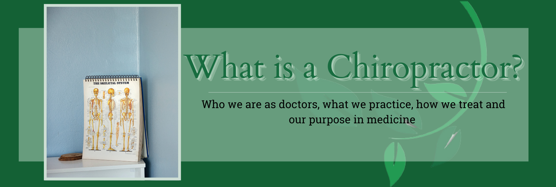 SpineWorks - What is a Chiropractor? Header