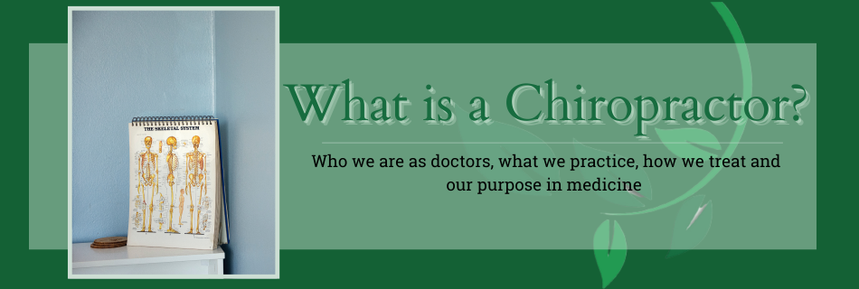 What is a Chiropractor? – SpineWorks